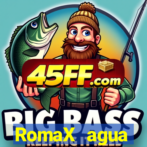 RomaX agua sanitaria fispq agua sanitaria romax